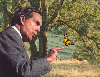 Moments after being re-released into his native Kansas prairie, Bob Dole cautiously approaches a butterfly. Dole roamed free in such habitats until 1949, when he was cruelly captured and forced to run for Alderman of Russell, KS.